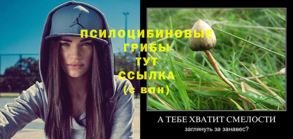 каннабис Дмитровск